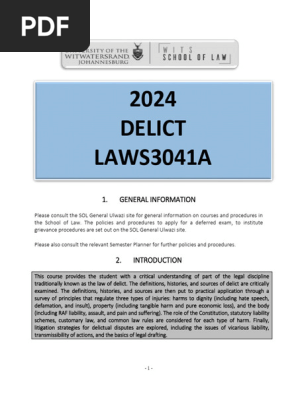 Delict Course Outline 2024