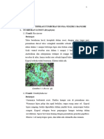 Modul Identifikasi Tumbuhan