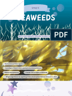 Group 6 - Seaweeds