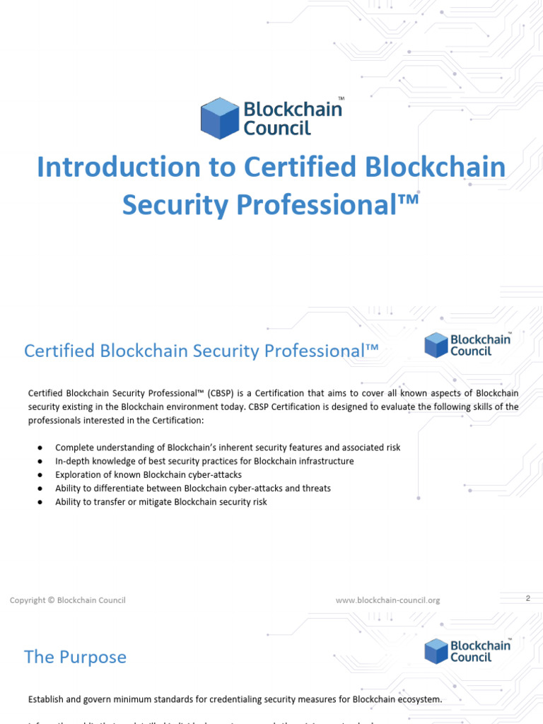 BlockChain Security PPT - Opt | PDF | Public Key Cryptography | Cryptography