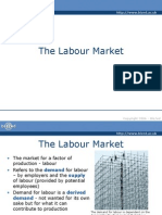 The Labour Market