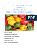 Agriculture SBA 2 PEPPERS