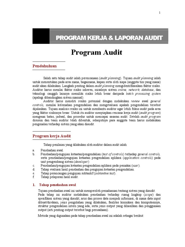 Audit Program | PDF