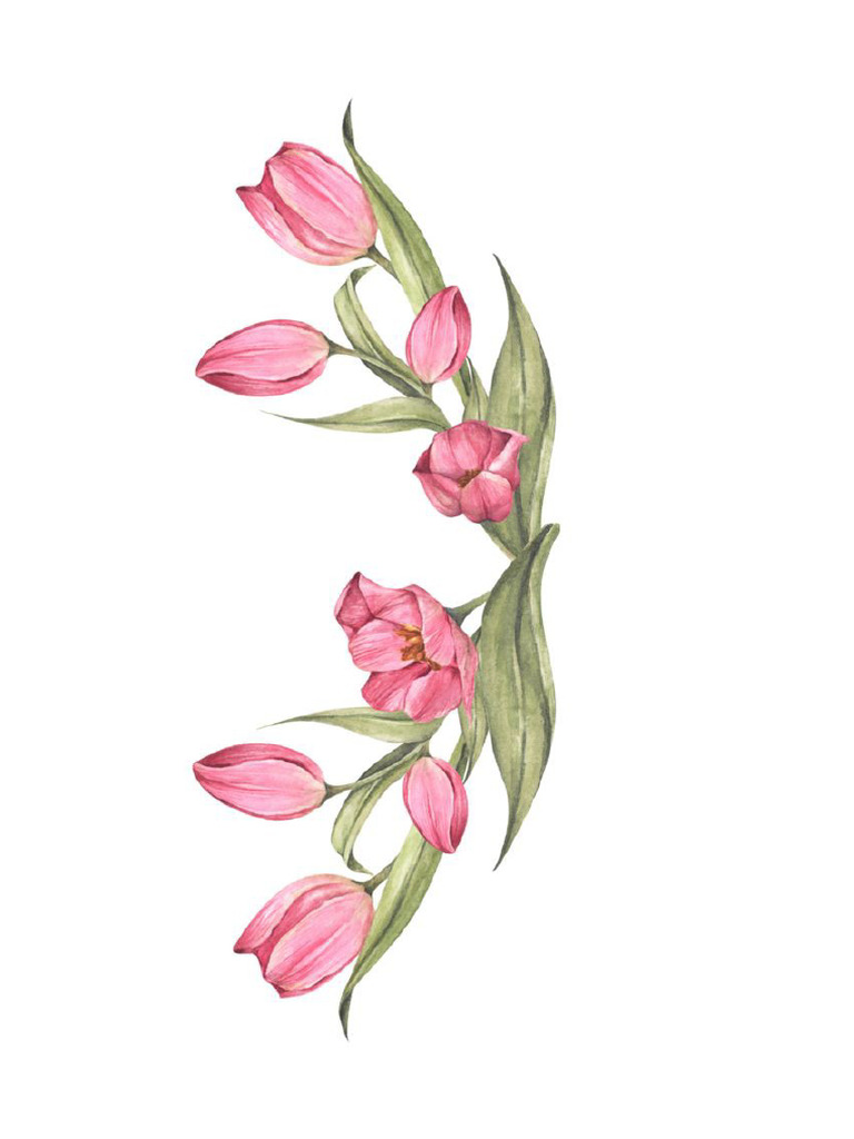 Pink Aesthetic | PDF