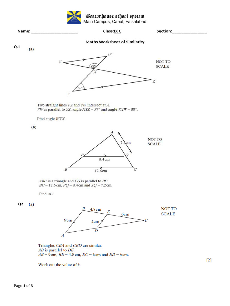 Worksheet of Similarity PDF