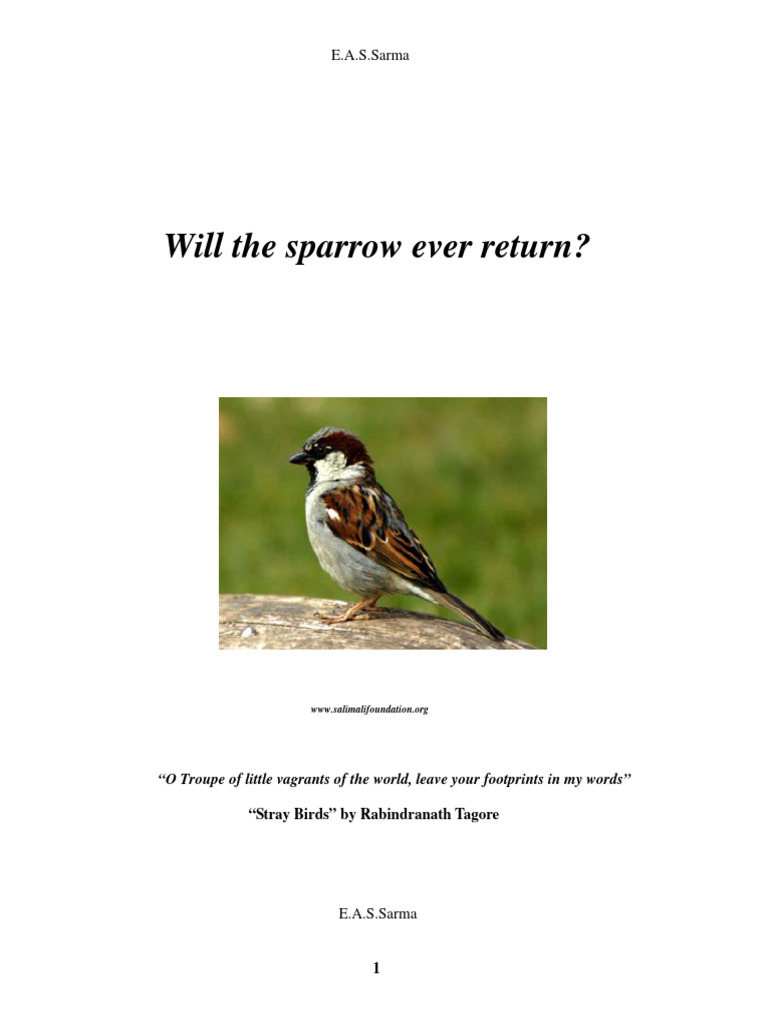 Will the sparrow ever return 17 3 12 pdf slum