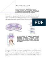 Notes de Cours - La Motricité Périphérique