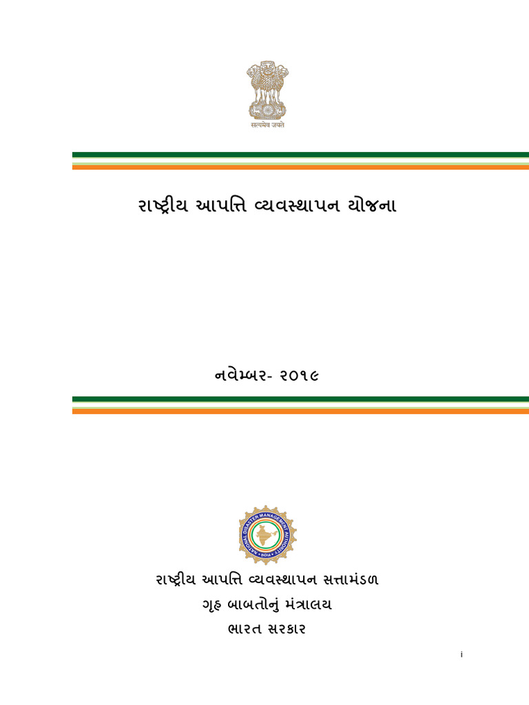 NATIONAL DISASTER MANAGEMENT PLAN NDMP 2019 visual data 3