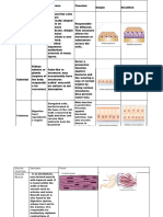 Epithelial Tissue Type