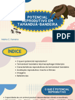 Potencial Reprodutivo em Tamanduá-Bandeira - Maíra C Ferreira