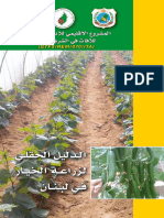 الدليل الحقلي لزراعة الخيار في لبنان