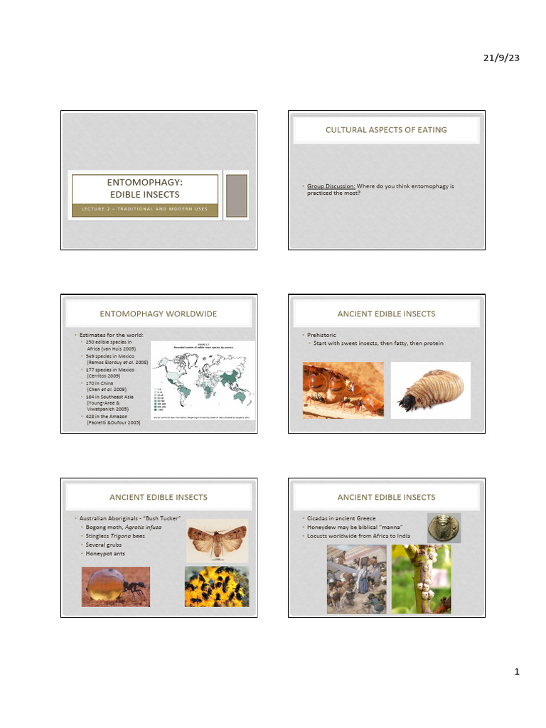 02-Traditional Modern | PDF