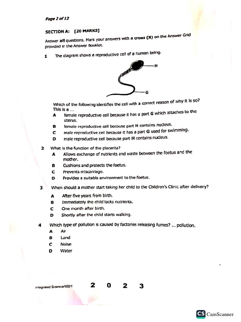 Project Topics For Integrated Science Education