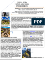 Povos Pré-Colombianos.2024 PDF