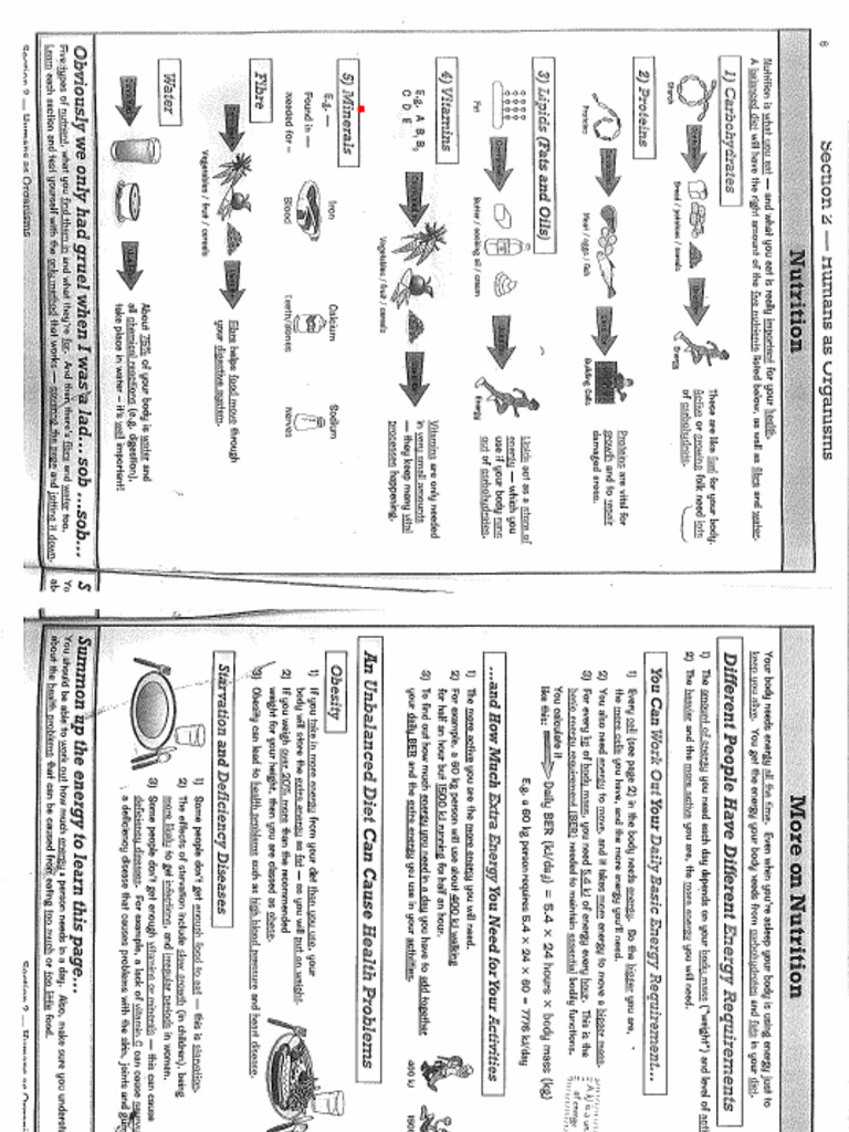 Ks3 Science Cgp Revision Questions Section 2 Humans As Organisms Pdf