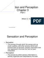 Sensation and Perception: William G. Huitt
