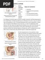 Human Reproductive System - Britannica Online Encyclopedia