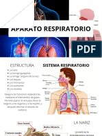 Aparato Respiratorio y Aparato Digestivo