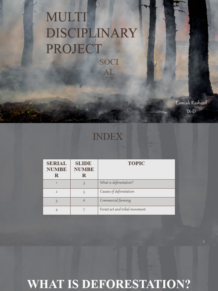 Deforestation Project | PDF | Home & Garden | Science & Mathematics