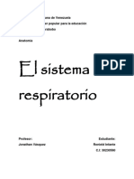 Sistema Respiratorio Ronield