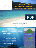 10-Coral Reef Organisme