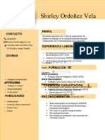 233 Curriculum Vitae Profesional para Trabajo