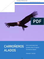 Carroneros Lados