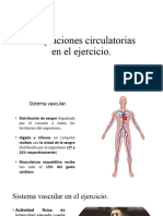 Adaptaciones Circulatorias en El Ejercicio