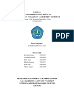 Laporan - Observasi - Kewirausahaan - Kelompok 2