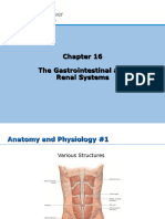 Chapter16 GI & Renal System
