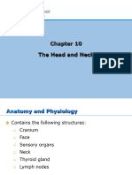 Head & Neck Assessment