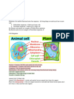 Science Revision Cheat Sheet