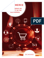 SCANAD E Commerce Report