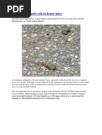 Fish Rain Uploaded by P.K.gomathi