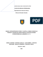 Equino: Osteoartrosis en Tarso Ycuartilla, Edema en Músculo Trapecio y Efusión de Líquido Sinovial de Articulaciones Intervertebrales (Lumbares 5, 6 y 7)