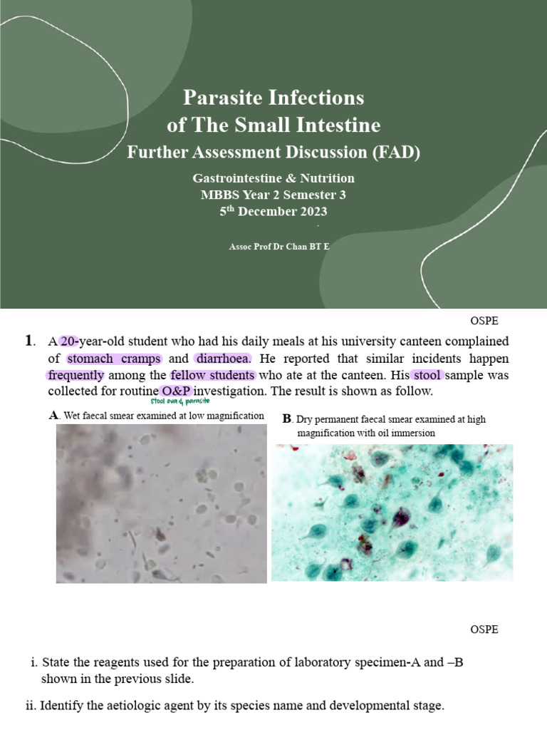 FAD 1 (5 - 12) Small Intestines | PDF | Microbiology | Animals And Humans