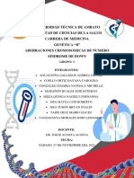 Aberraciones Cromosómicas de Número Sindrome de Down - Grupo 3