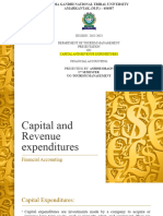 Capital and Revenue Expenditures