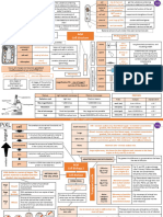 Biology Revision PIXL Mindmaps