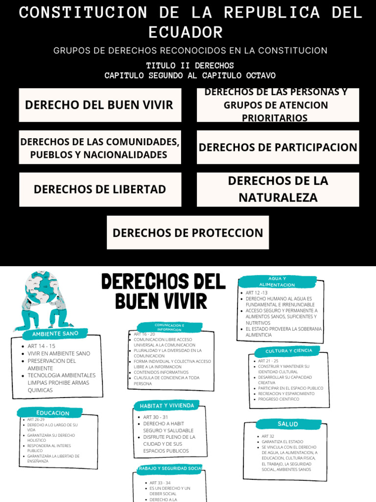 Derechos en la Constitución de Ecuador | PDF | Estado (política) | Gobierno