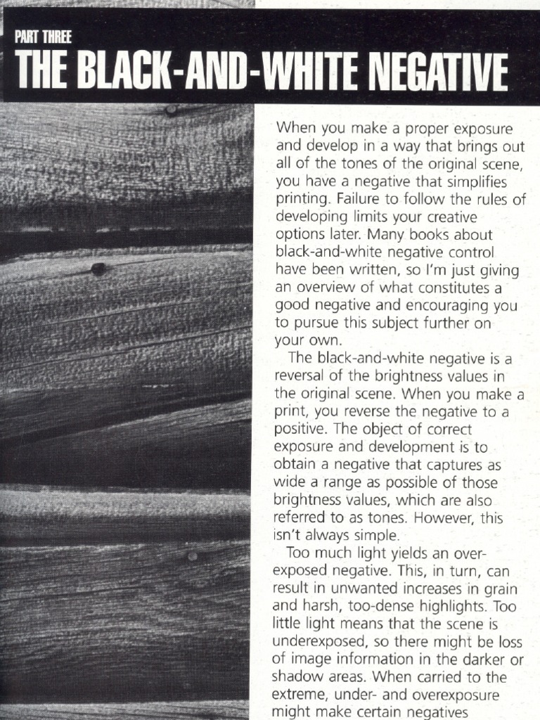 Understanding Negative Development: An Overview of Factors to Consider ...