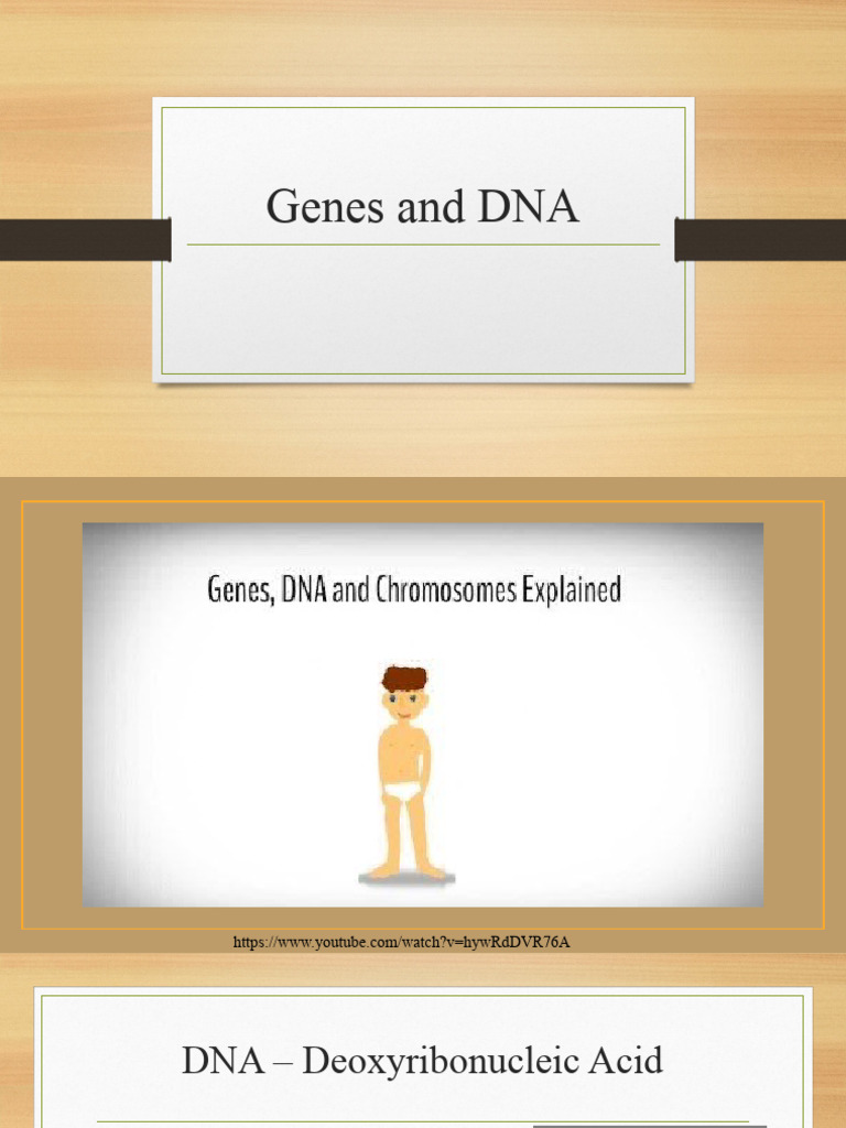 Understanding DNA and Inheritance | PDF | Dna | Gene