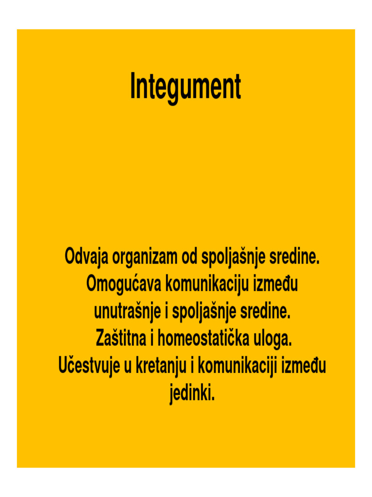 01 Integument 2024 | PDF