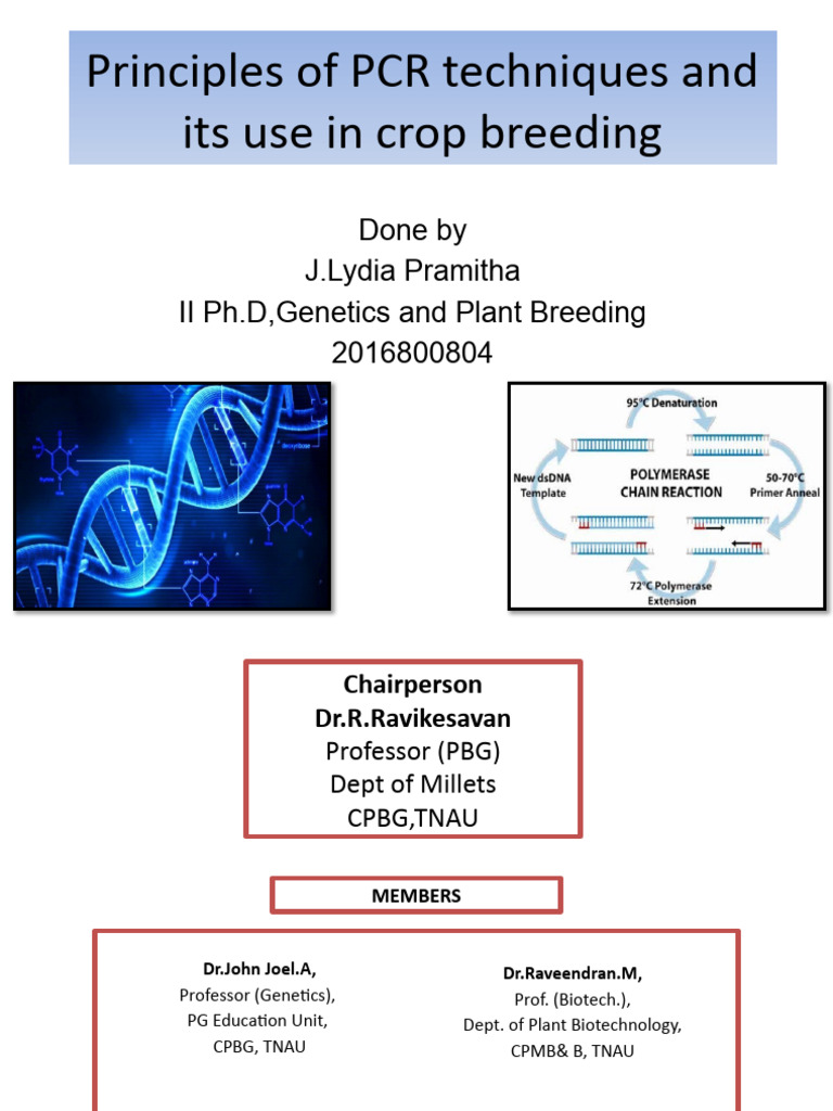 Principles Of Pcr And Its Application
