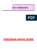 Individual Amino Acid 2