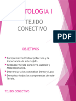 Tejido Conectivo