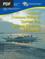 Local Fish Names in Tagalog | PDF | Recreational Fishing | Fish