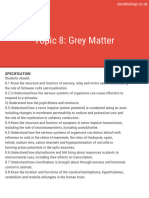 Topic 8 Grey Matter