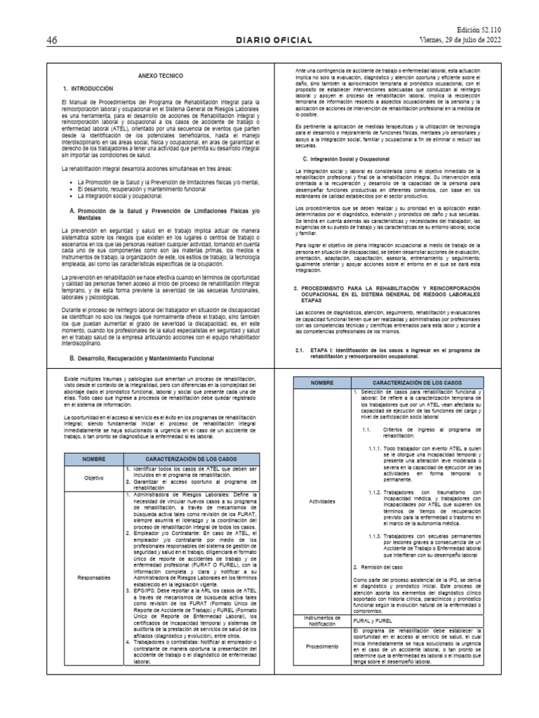 anexo-tecnico-resolucion-3050-2022-pdf-evaluaci-n-terapia-f-sica