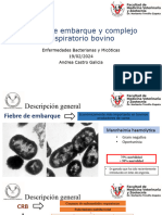 Fiebre de Embarque y CRB-Andrea Castro